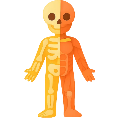 health icon