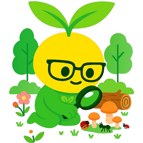 Bloomy for Nature