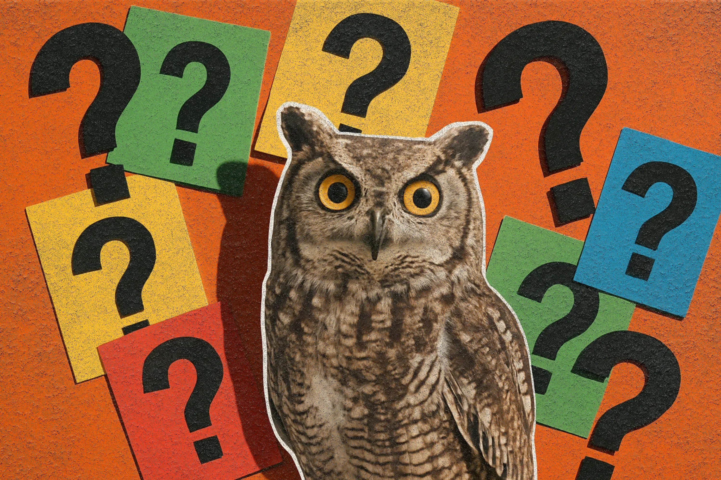 Quizzes