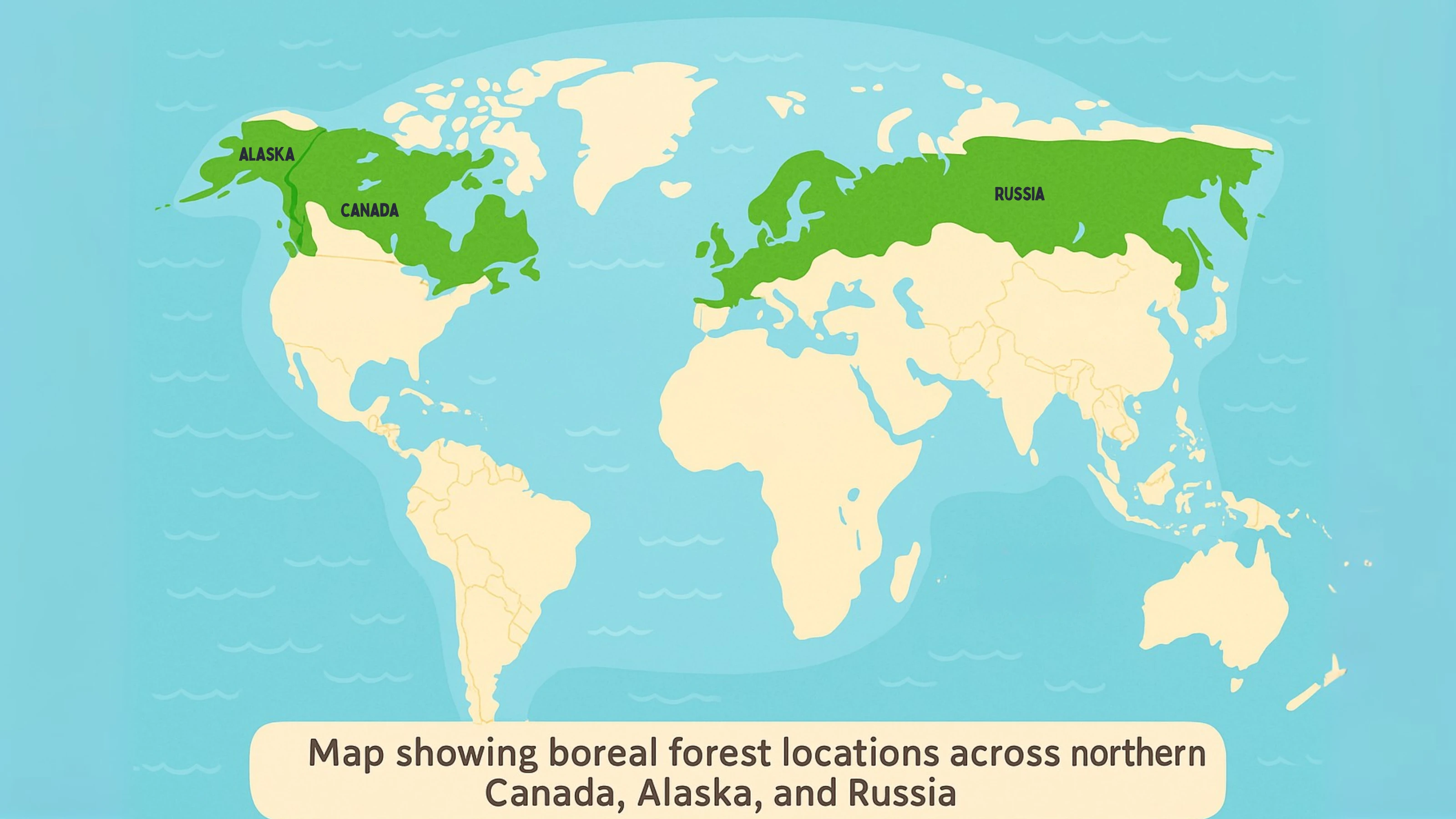 Boreal Forest Map