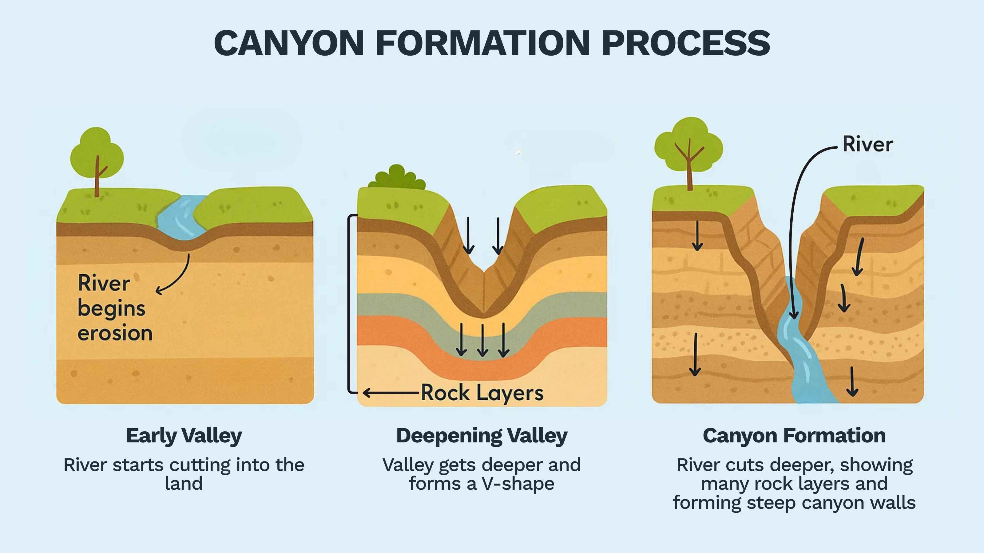 Canyon Formation Process
