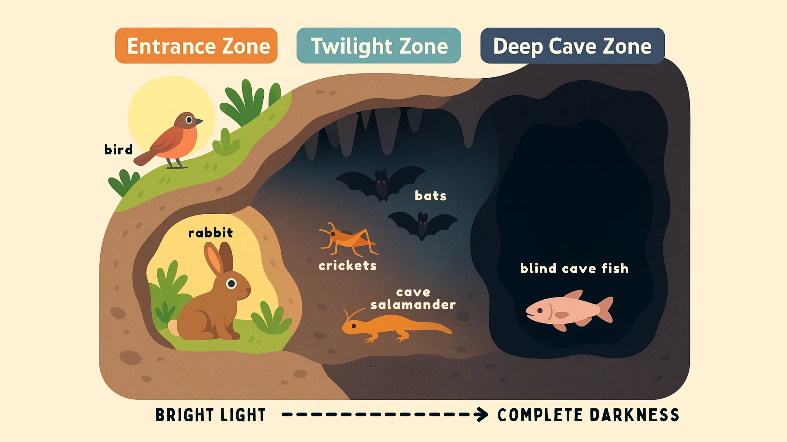Cave Environment Zones