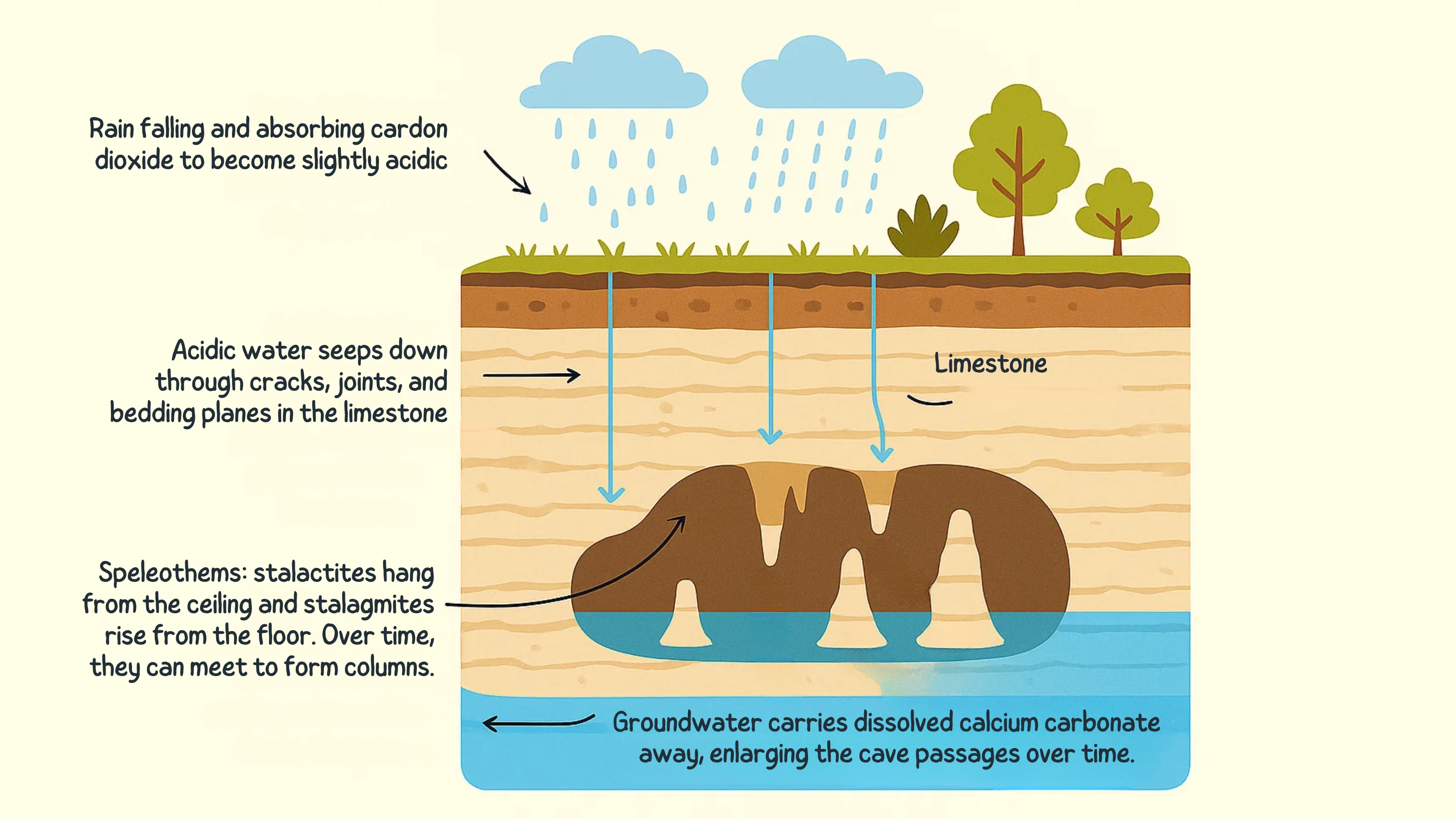 Cave Formation Process