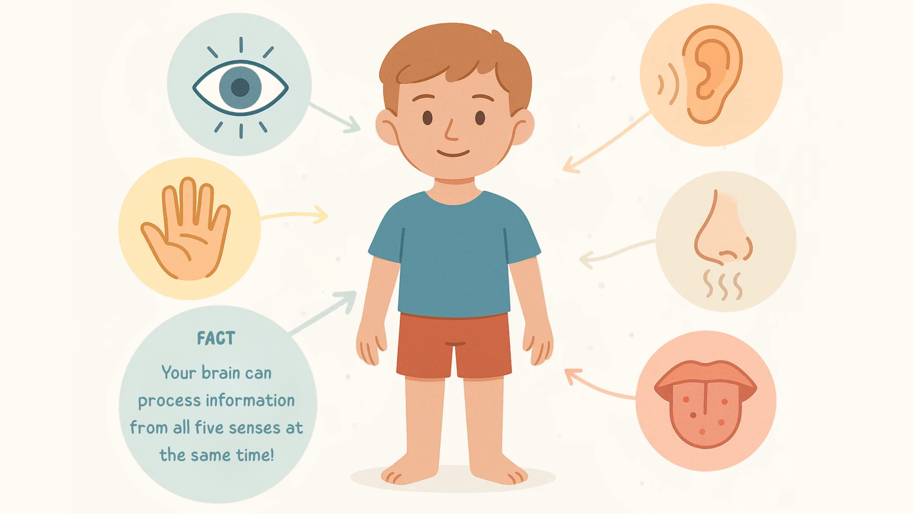Five Senses Diagram