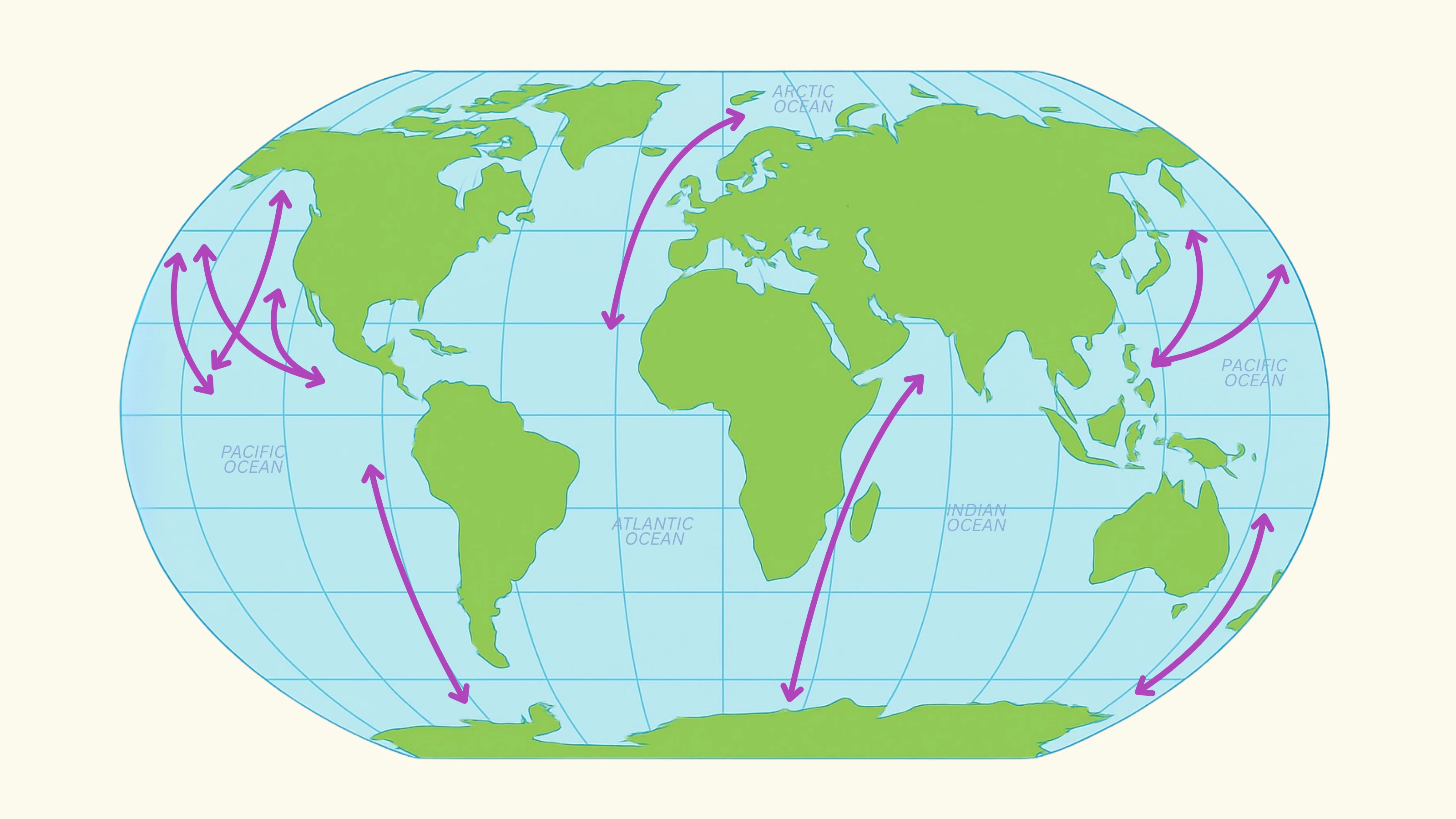 Animal Migration Routes
