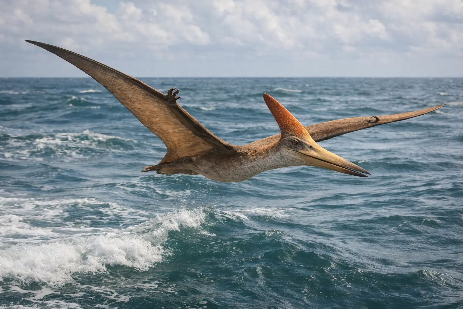 Pteranodon