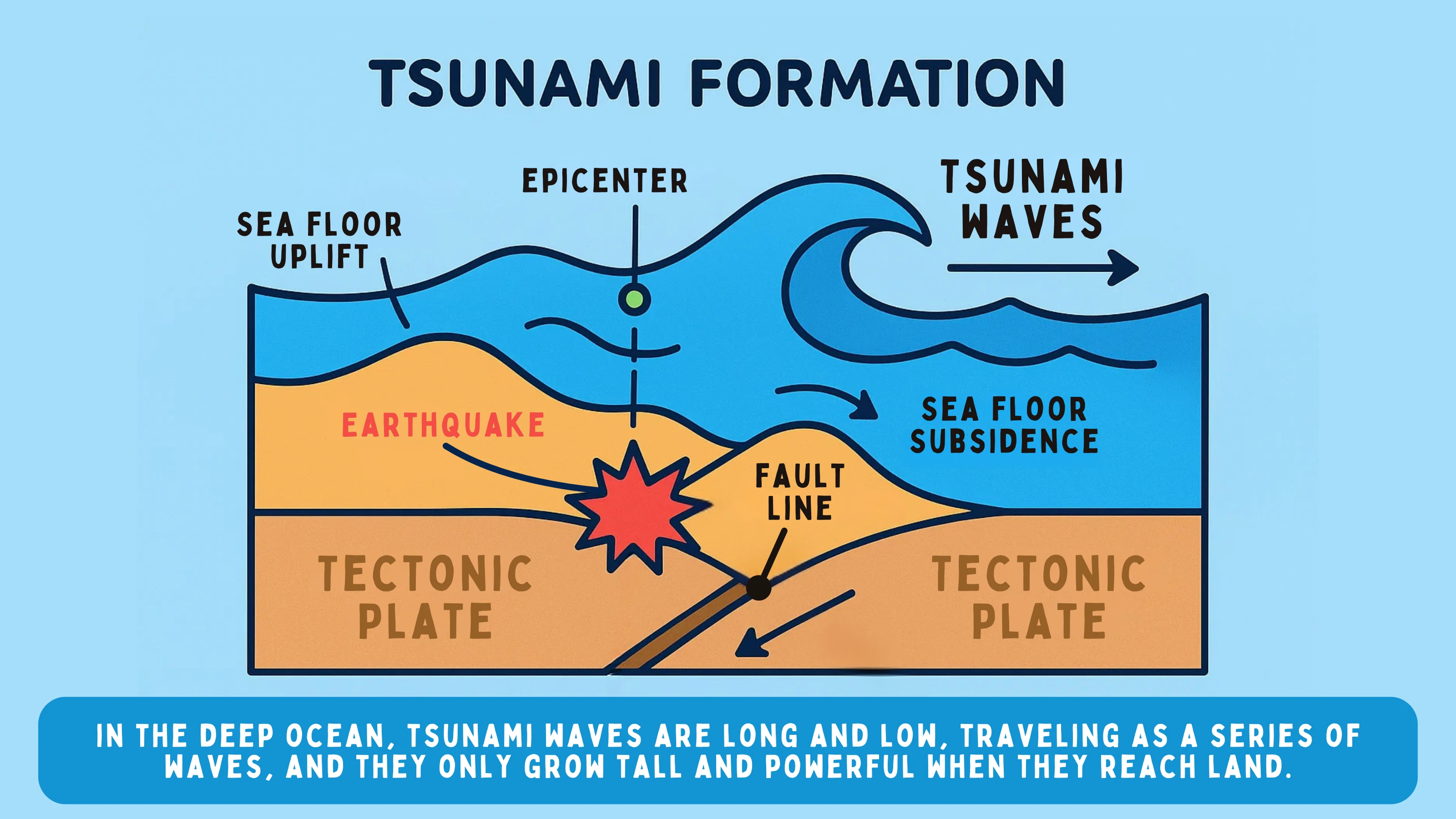 Tsunami Formation Process