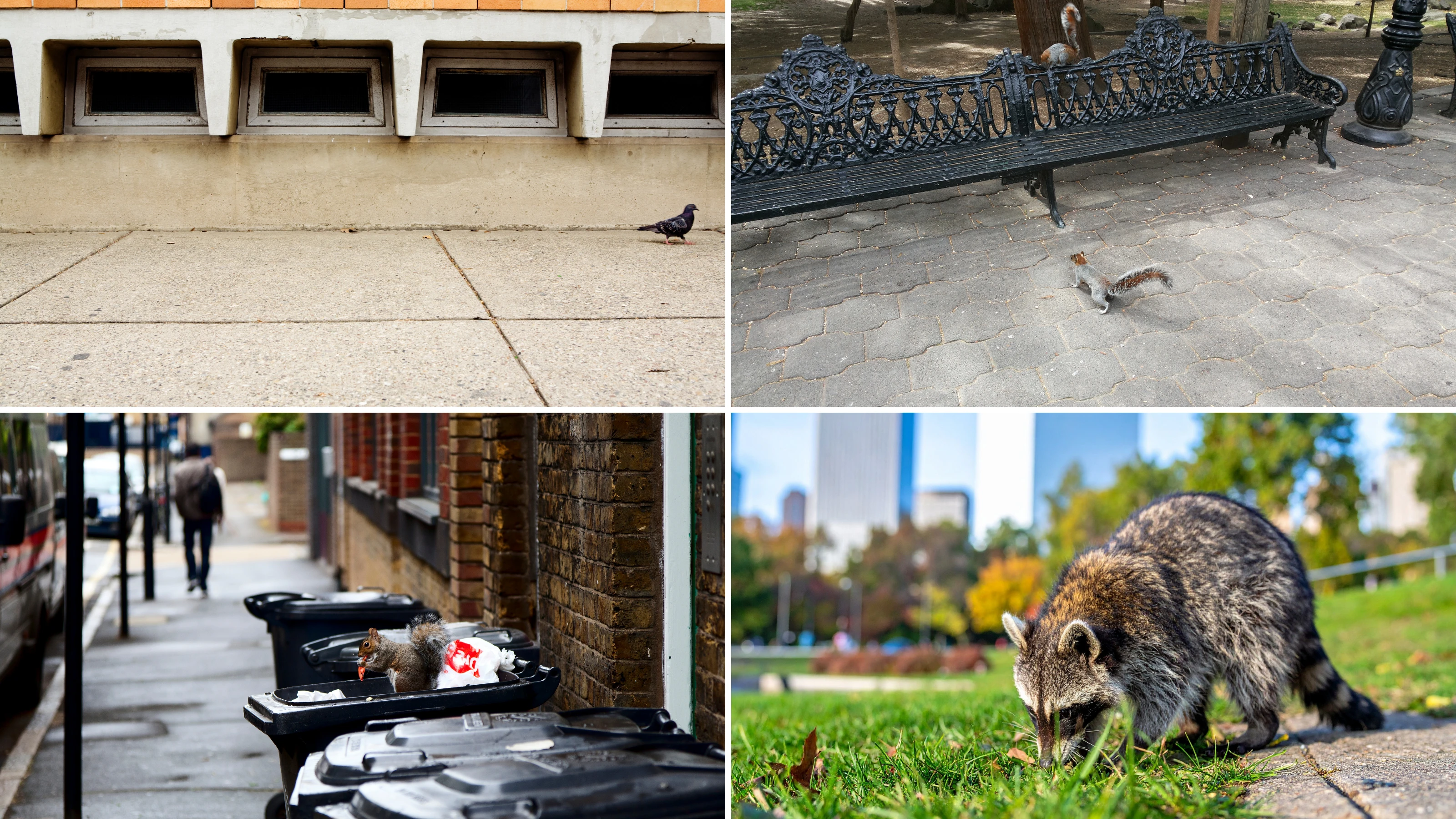 Urban Habitat Map