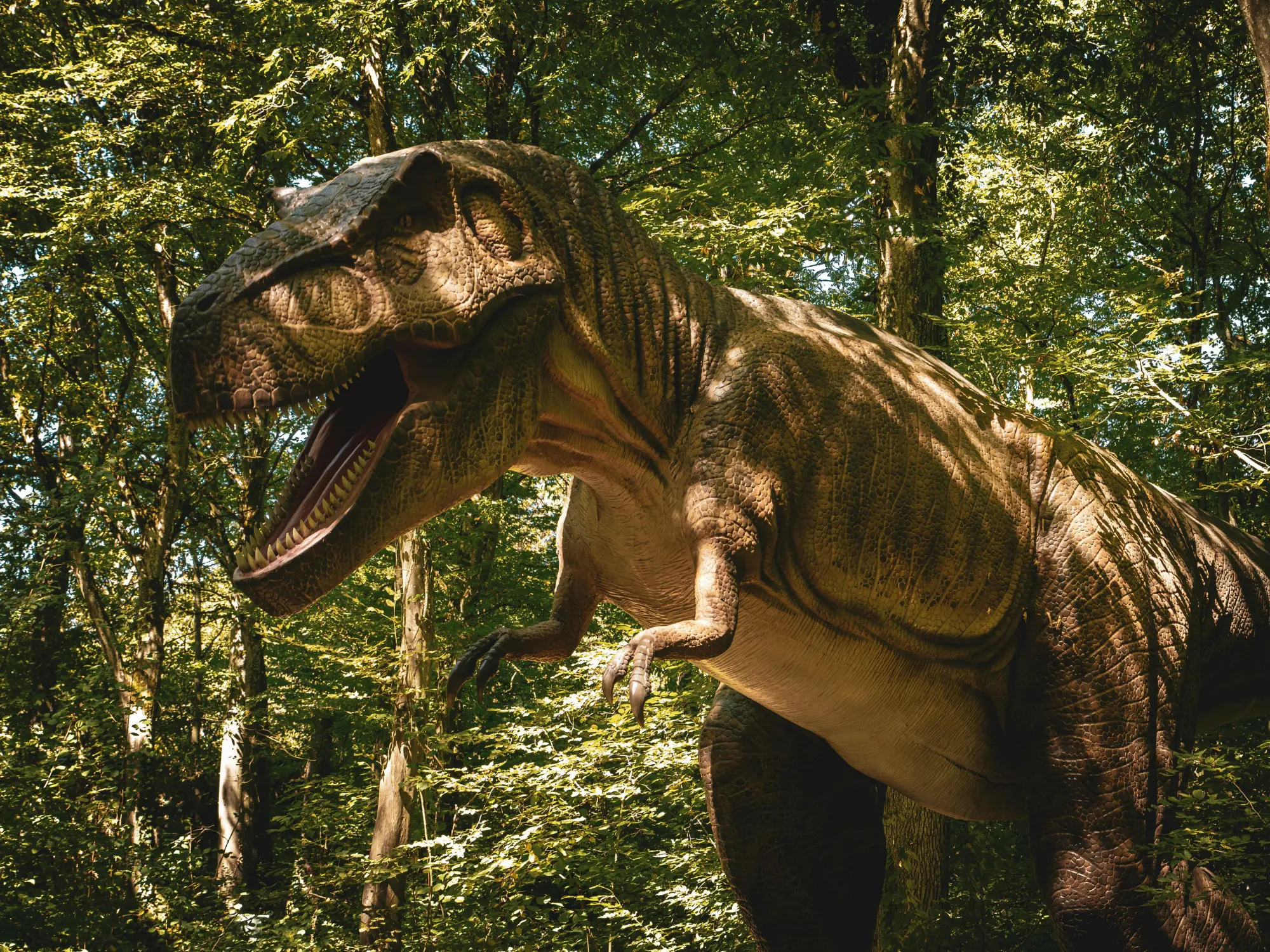 Prehistoric