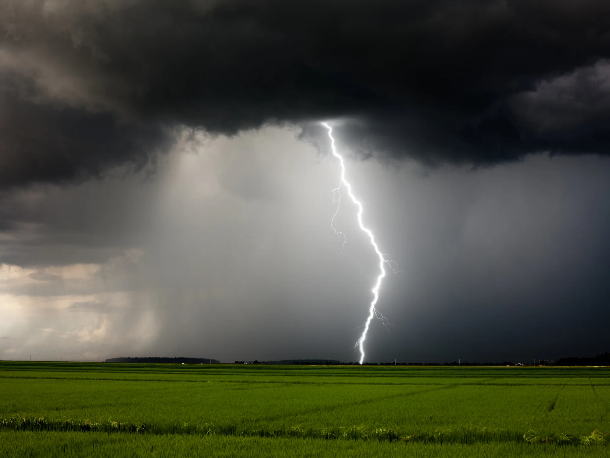 Weather