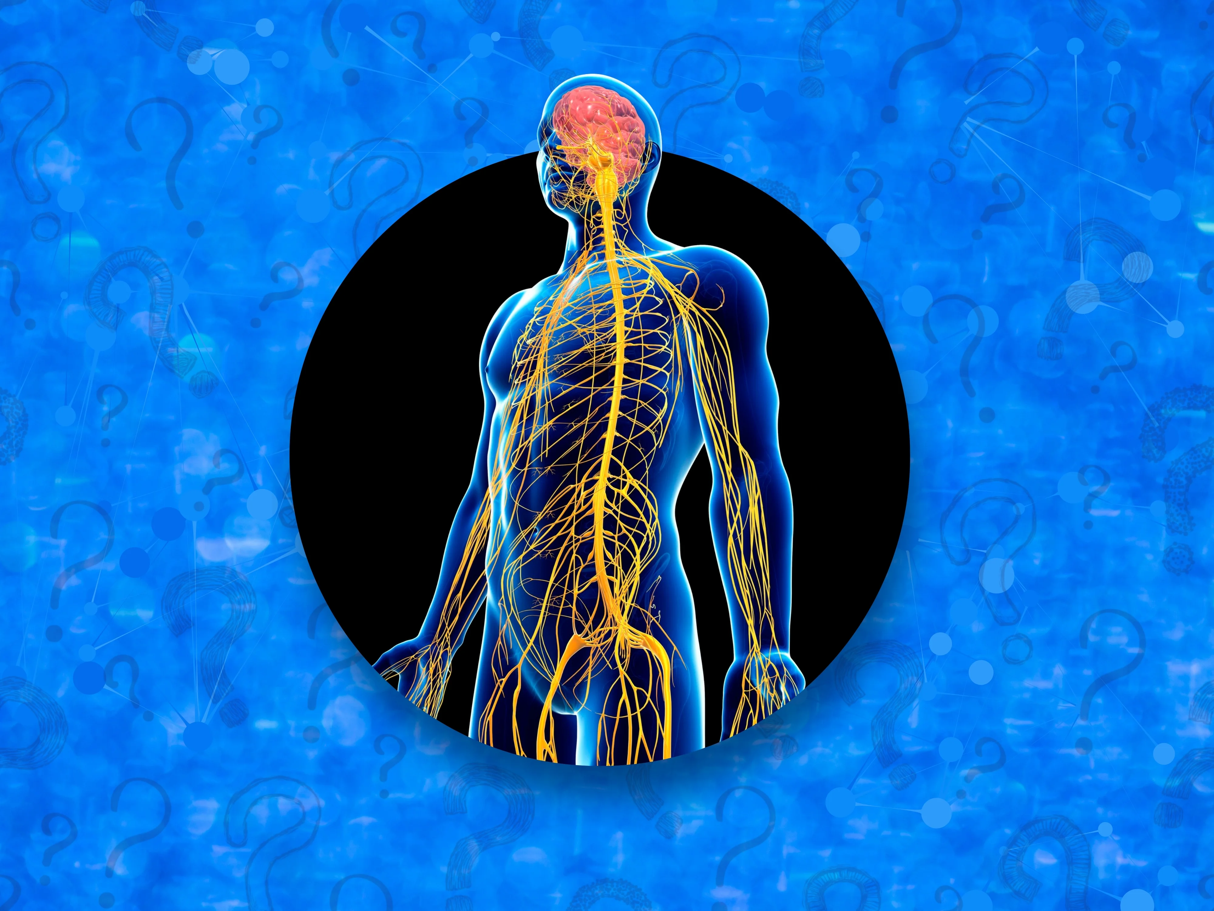 Body & Brain