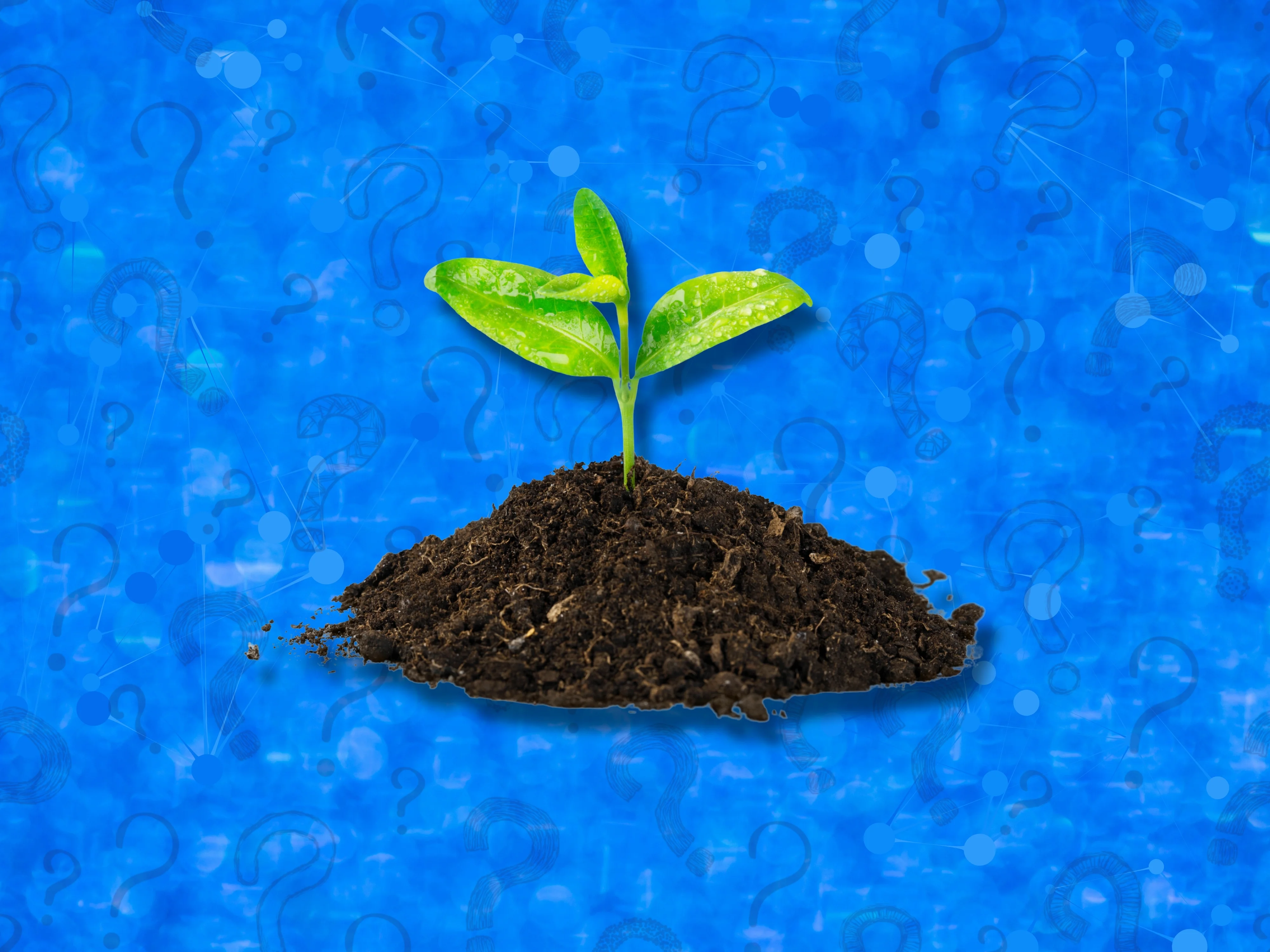 Plant Power