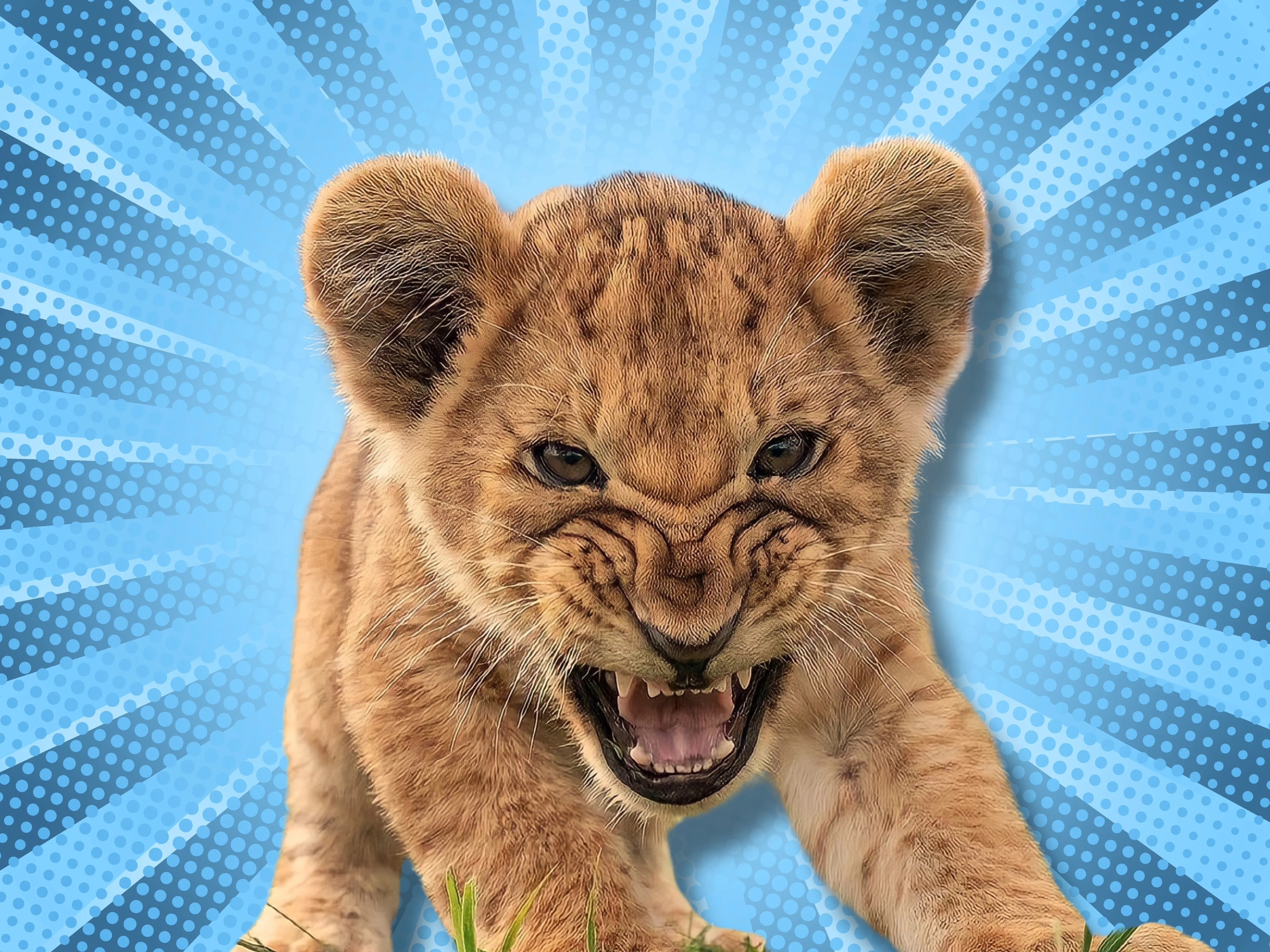 Which Animal Are You Most Like?