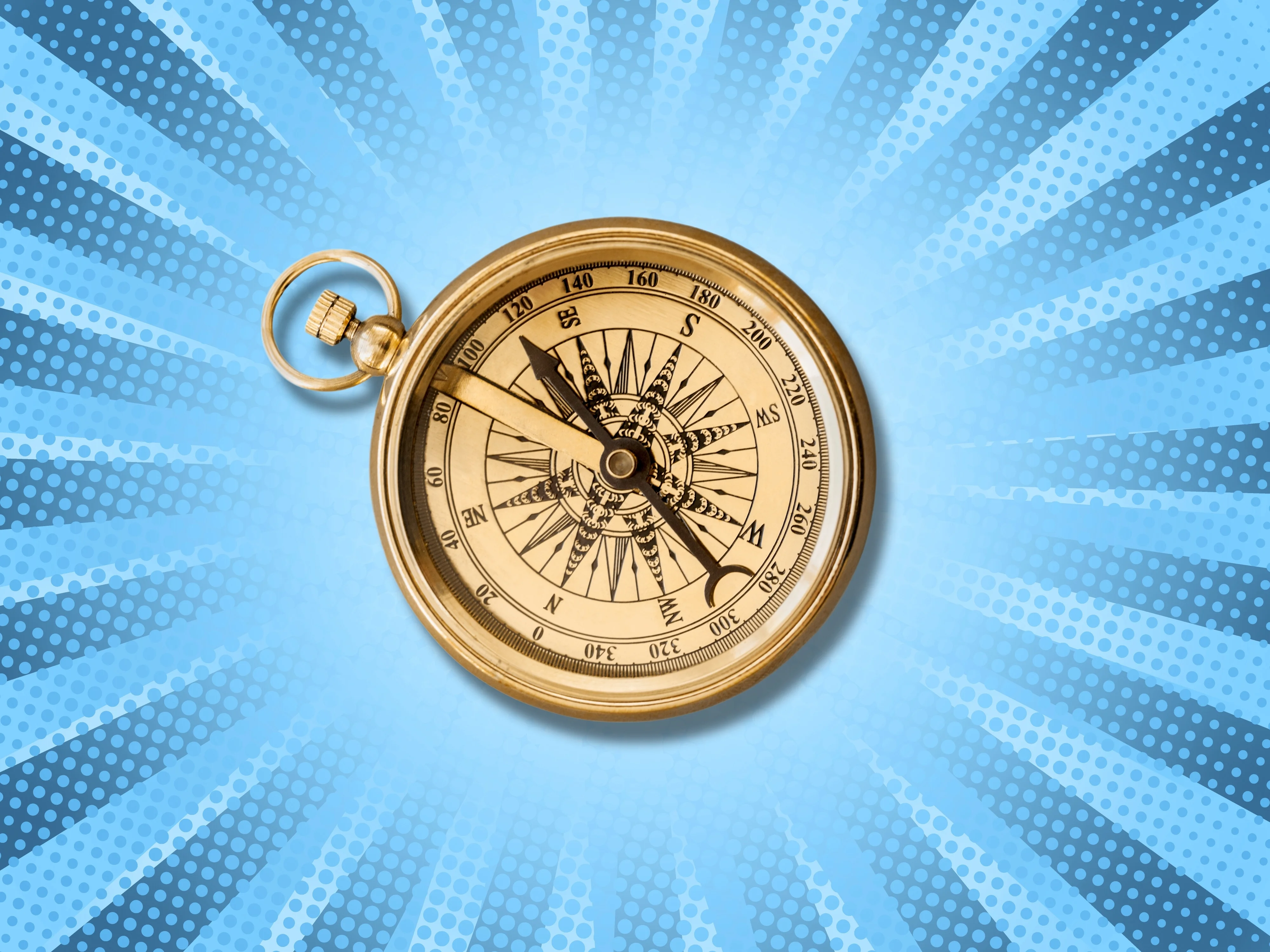 Which Explorer Are You?